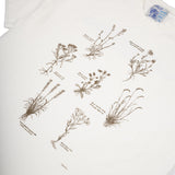 Graphic Tee- Natural 'Grow Your Garden'